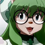 doctor dog doctor dog